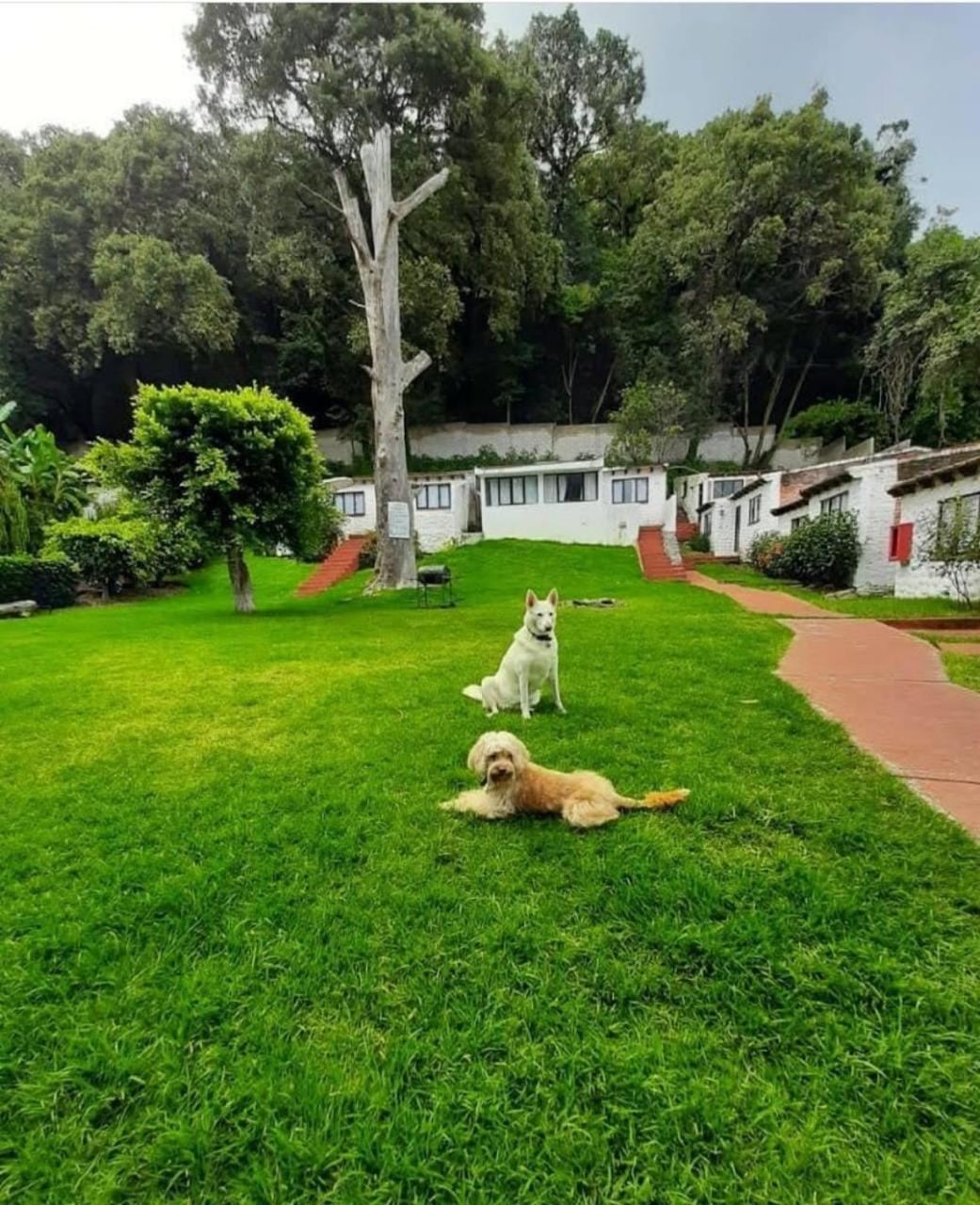Club Santa Maria Hotel Cuernavaca Exterior photo